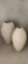 Falguera Neu