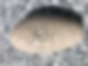 Roulet Fabienne